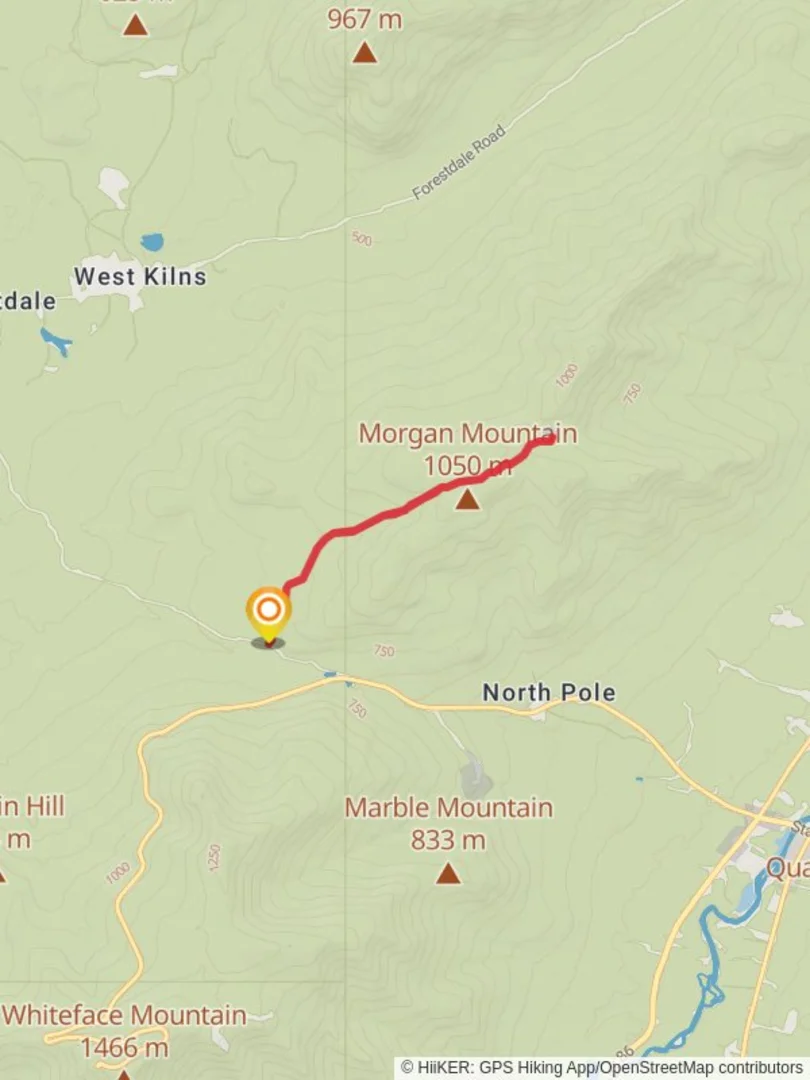 An image depicting the trail Cooper Kill Pond Trail and its surrounding area.