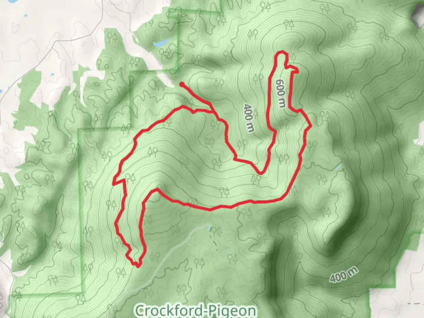 An image depicting the trail Pocket Branch Loop and its surrounding area.