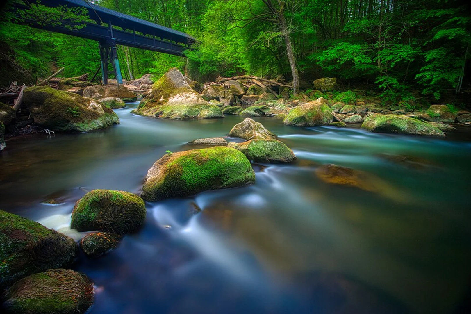 An image depicting the trail Irreler Straße Loop and its surrounding area.