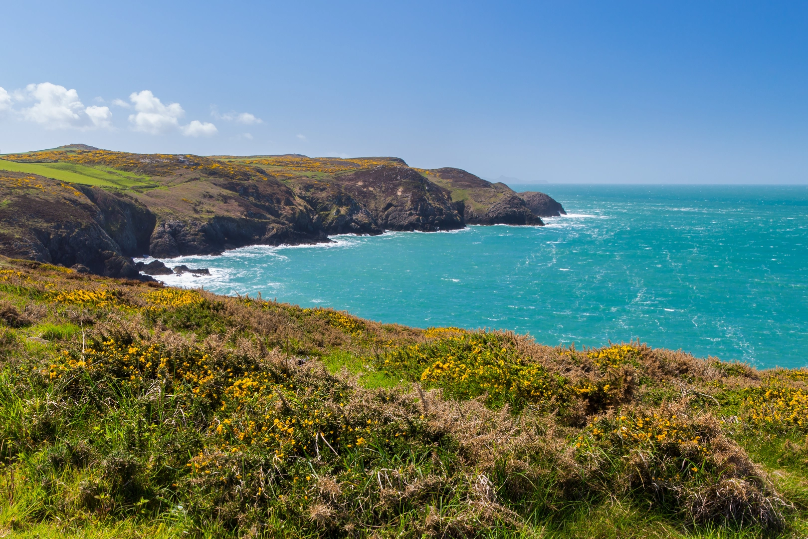 An image depicting the trail Carregwastad Point from Strumble Head and its surrounding area.