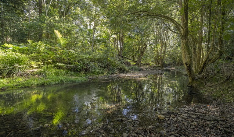 An image depicting the trail Mebbin National Park and its surrounding area.