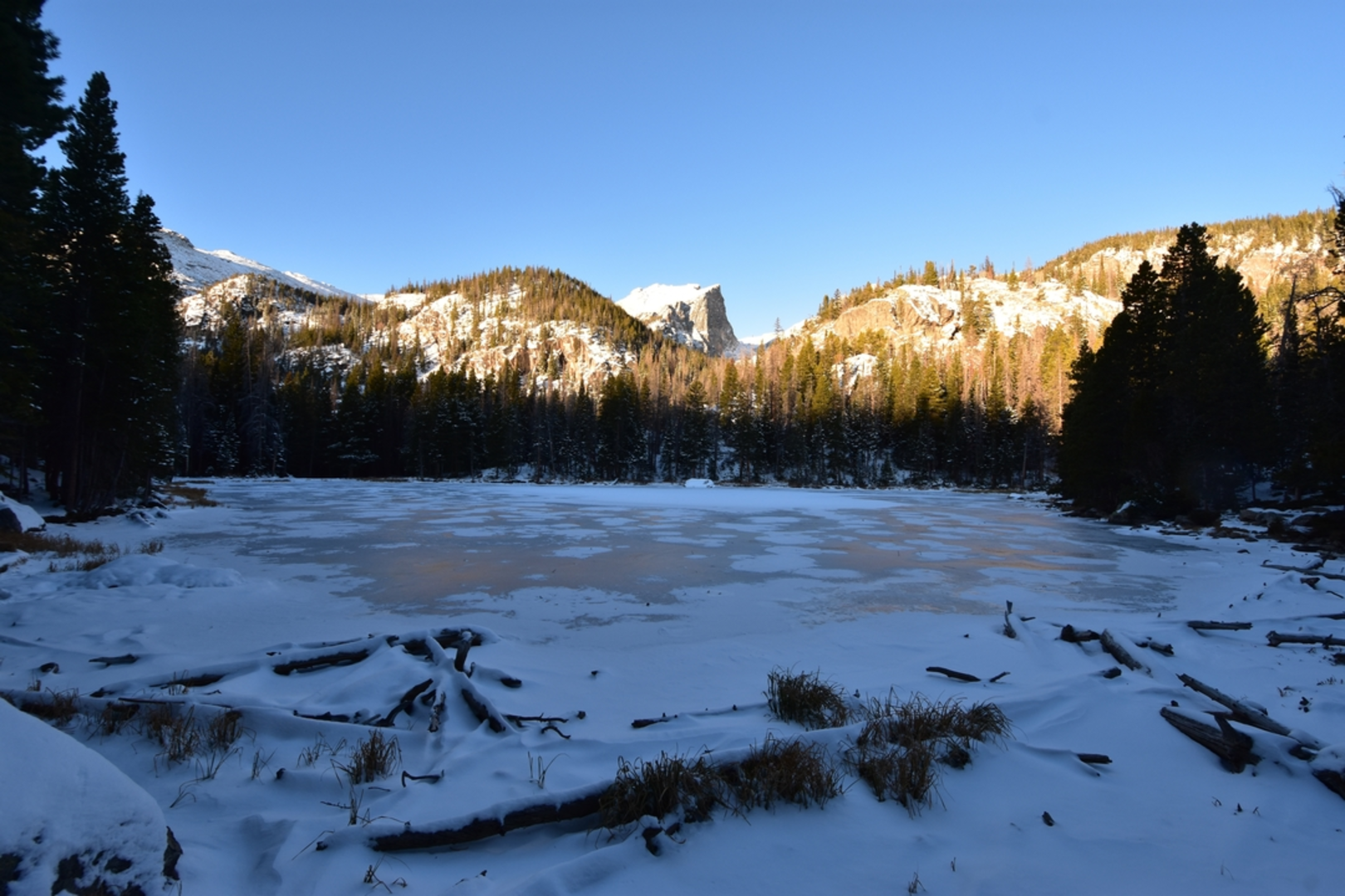 An image depicting the trail Nymph Lake Trail and its surrounding area.