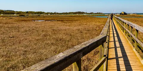 An image depicting the trail Newtown Walk and its surrounding area.