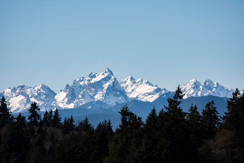 An image depicting the trail Lake Constance via Dosewallips River Road Trail and its surrounding area.