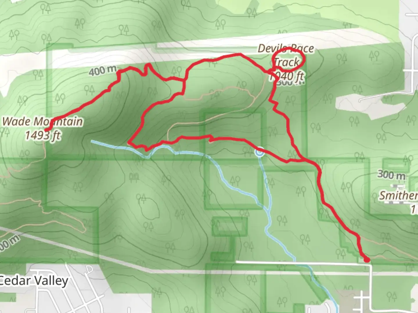 An image depicting the trail Wade Mountain via Devils Race Track and Rockwall Trail Loop and its surrounding area.