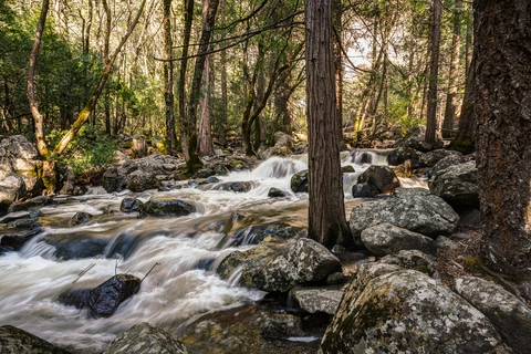 An image depicting the trail Bridalveil Creek Trail and its surrounding area.
