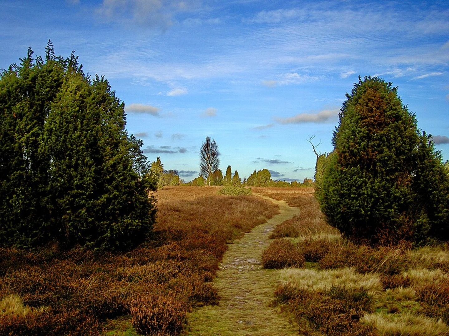 An image depicting the trail Müden to Faßberg Walk via Heideschleife Müden and its surrounding area.