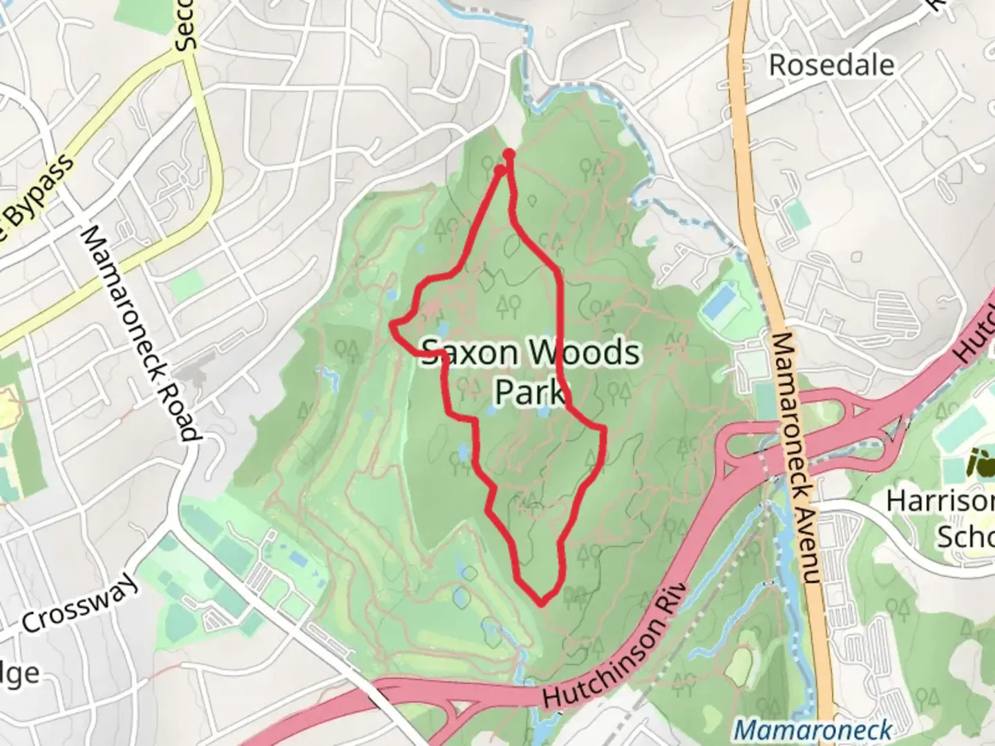 An image depicting the trail Saxon Woods Park Loop and its surrounding area.