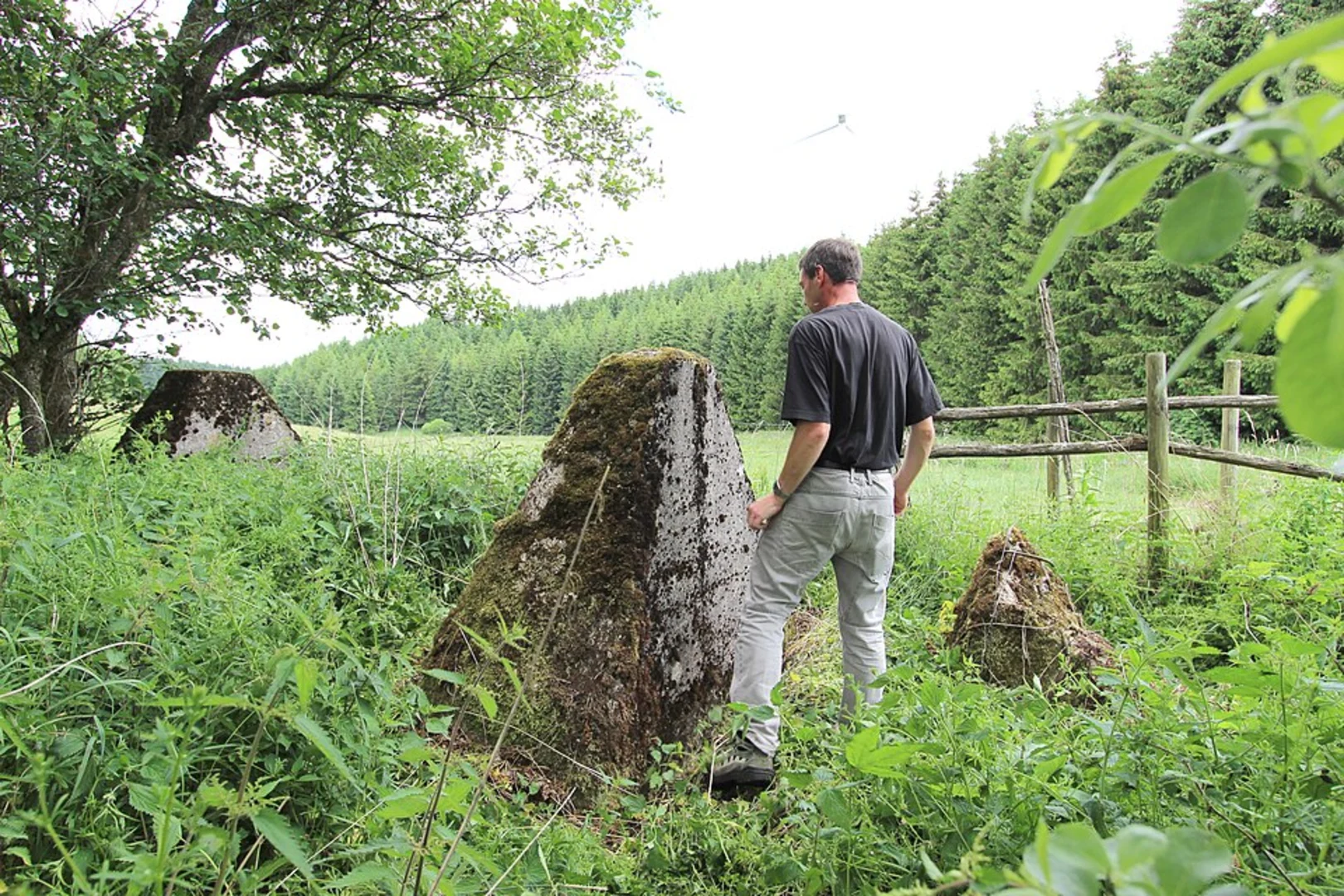 An image depicting the trail Hegekopf, Linderberg and Kahle Haardt bei Scheid am Edersee Loop and its surrounding area.