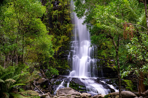 An image depicting the trail Erskine Falls Circuit Trail and its surrounding area.