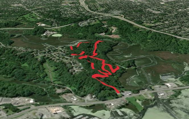 Irondequoit Creek - Blue Trail