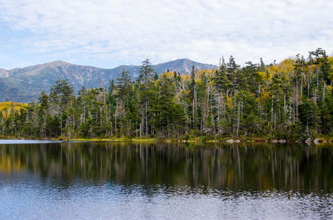 An image depicting the trail Lonesome Lake and Cascade Brook Trail via Pemi Trail and its surrounding area.