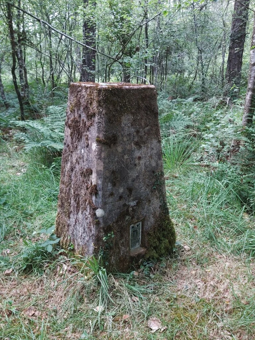 An image depicting the trail East Hill, Big Wood and Core Copse Loop and its surrounding area.