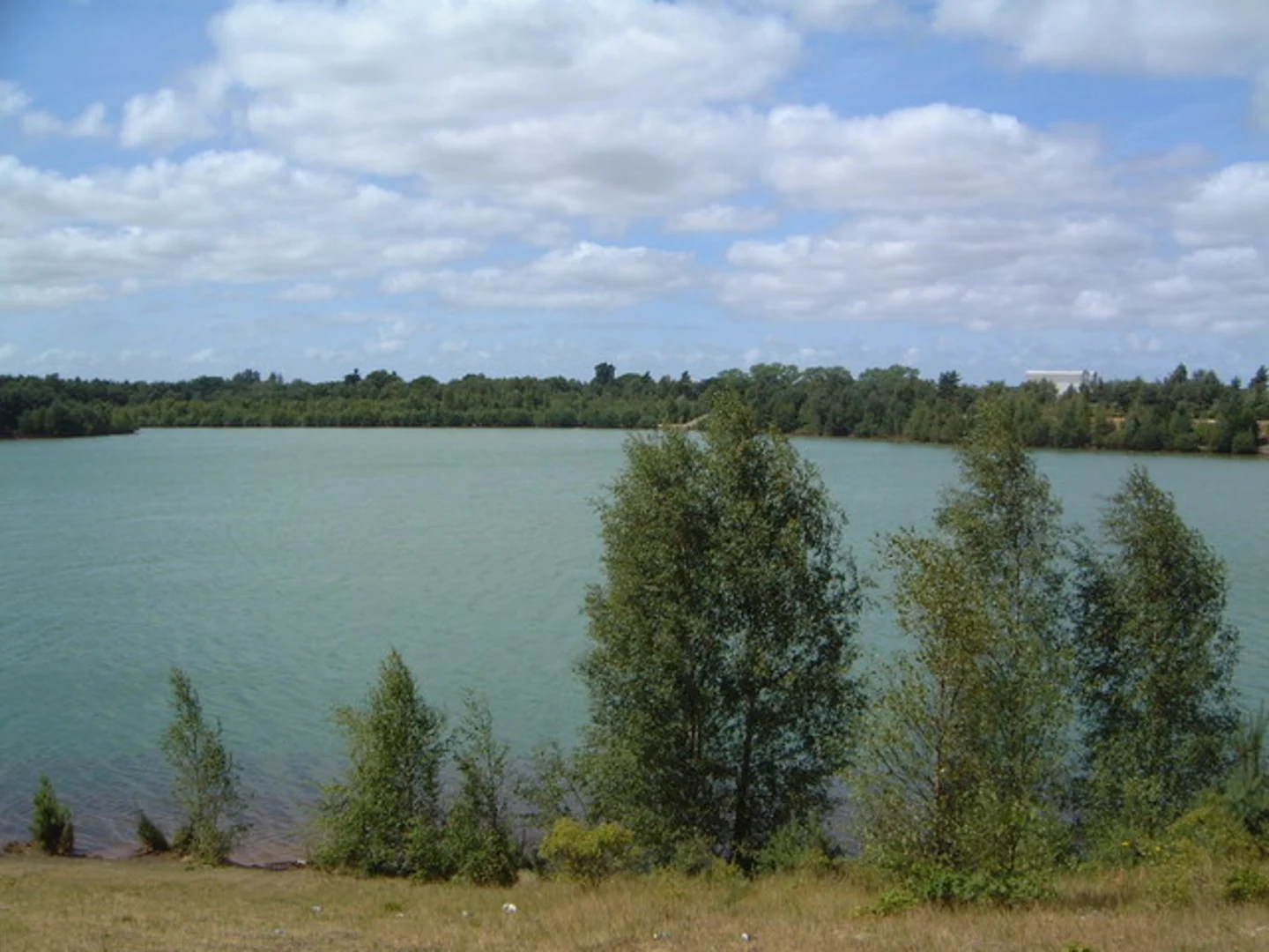 An image depicting the trail Bawsey Pits Loop and its surrounding area.