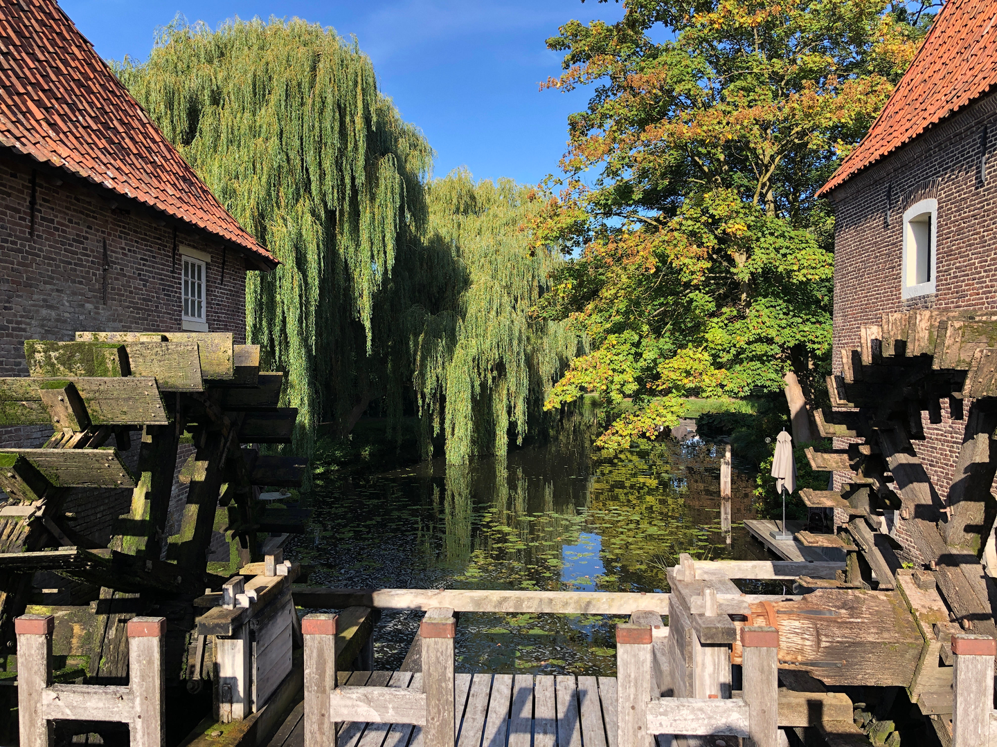 An image depicting the trail Graafschapspad and its surrounding area.