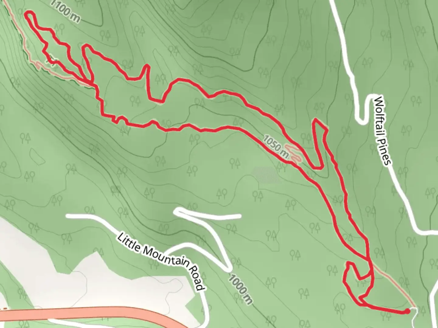 An image depicting the trail Whitefish Trail - Lion Mountain Loop and its surrounding area.