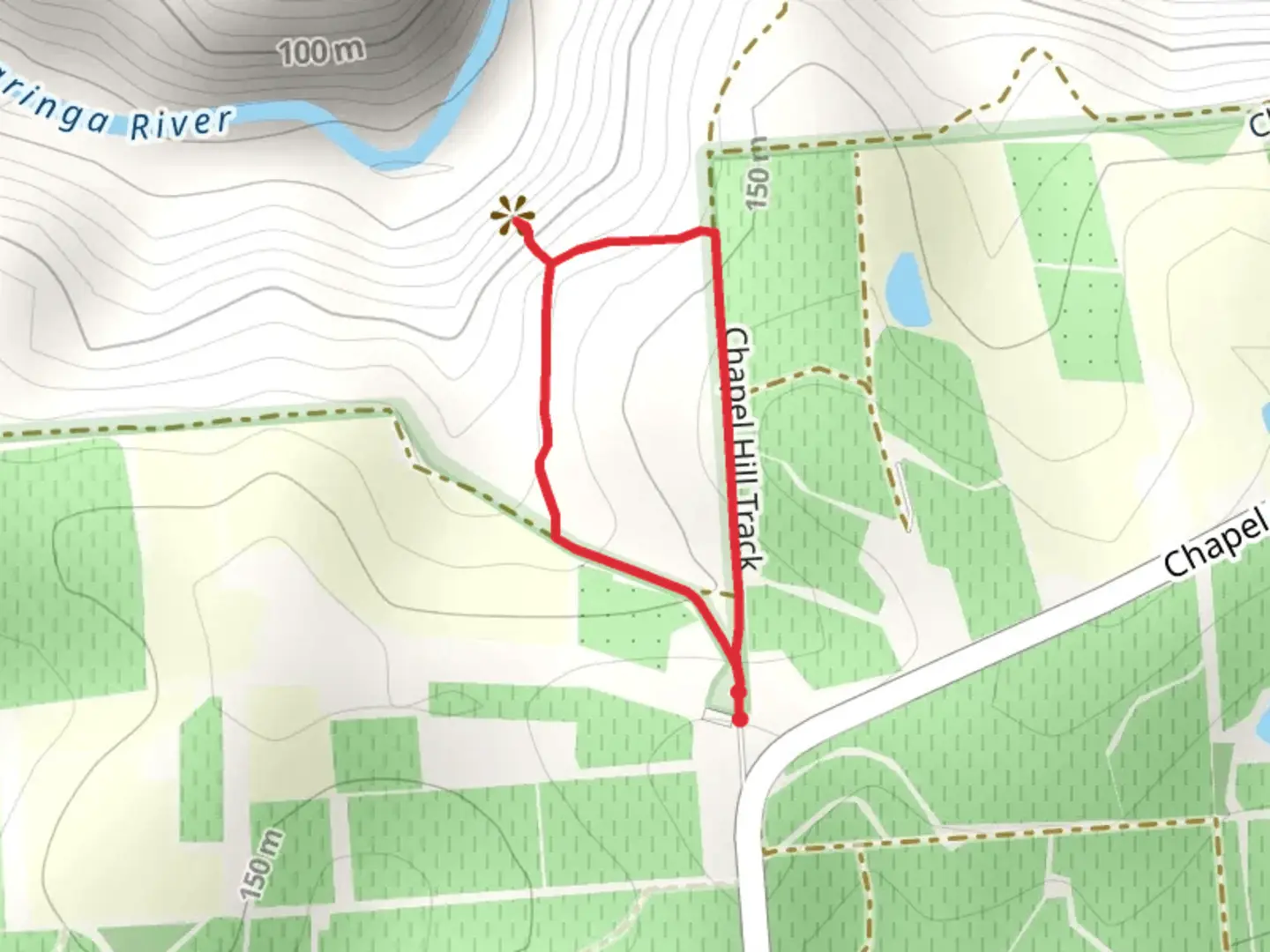 An image depicting the trail Chapel Hill Lookout Loop Track and its surrounding area.