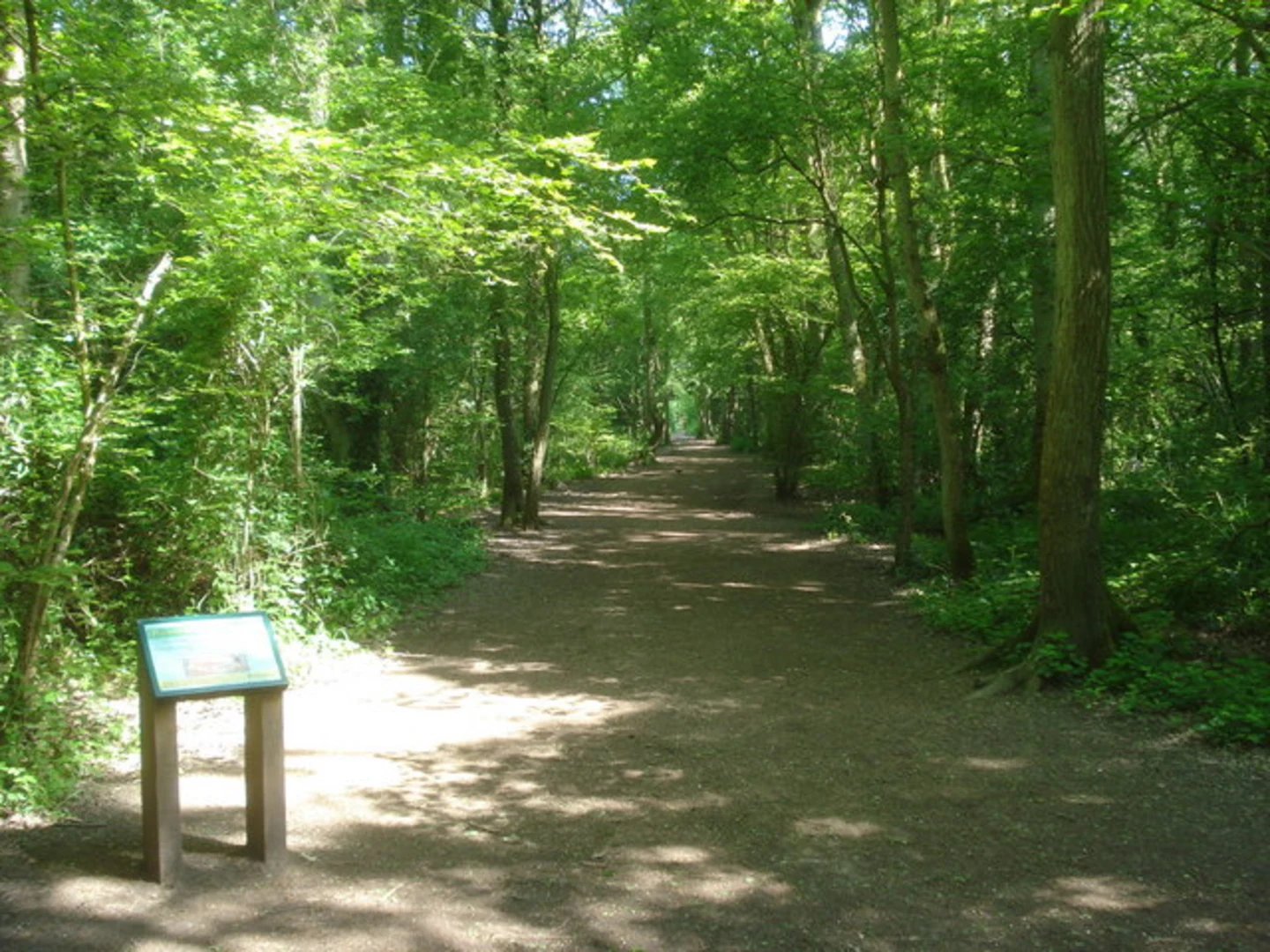 An image depicting the trail Worcester Woods Country Park Walk and its surrounding area.