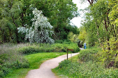 An image depicting the trail Risley Moss Country Park Loop and its surrounding area.