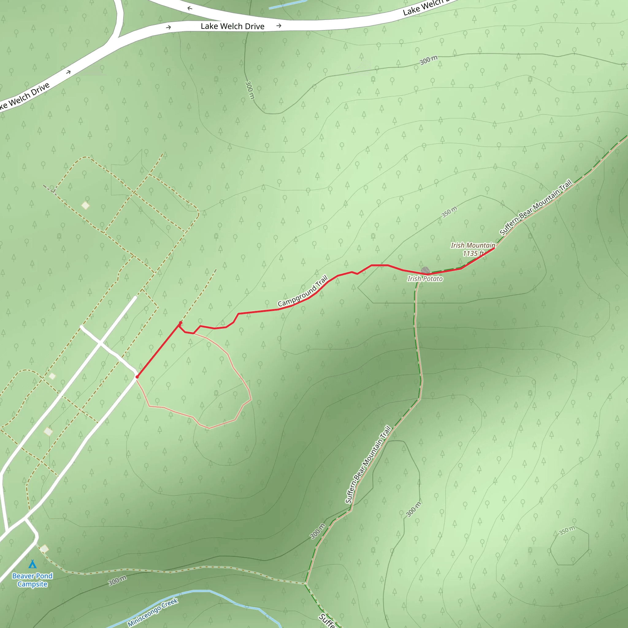 Irish Mountain Trail mobile static map