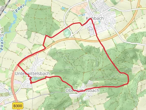 Burg Wittelsbach from Sisischloss