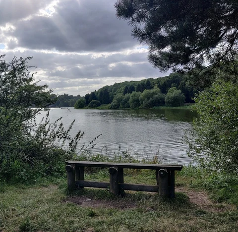 An image depicting the trail Browns Wood and Thornton Reservoir Loop and its surrounding area.