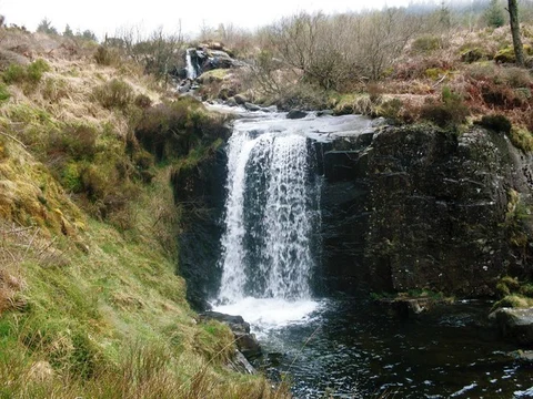Coed Graigddu