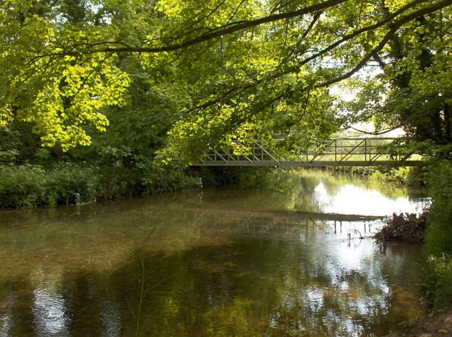 An image depicting the trail Milston Loop and its surrounding area.