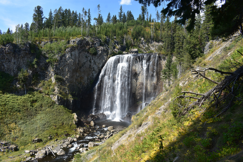An image depicting the trail Boundary Creek to Buffalo Lake Trail and its surrounding area.