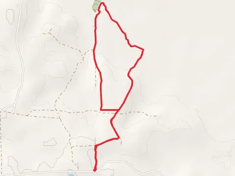 Moody Forest Tavia's Loop Trail