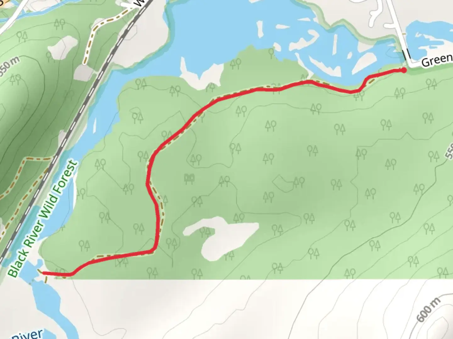 An image depicting the trail Middle Branch Moose River - Green Bridge Road and its surrounding area.
