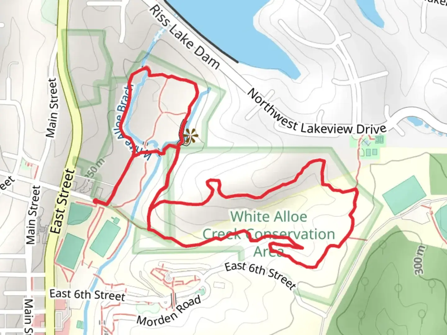 An image depicting the trail Old Kate, White Tail Loop Trail and its surrounding area.