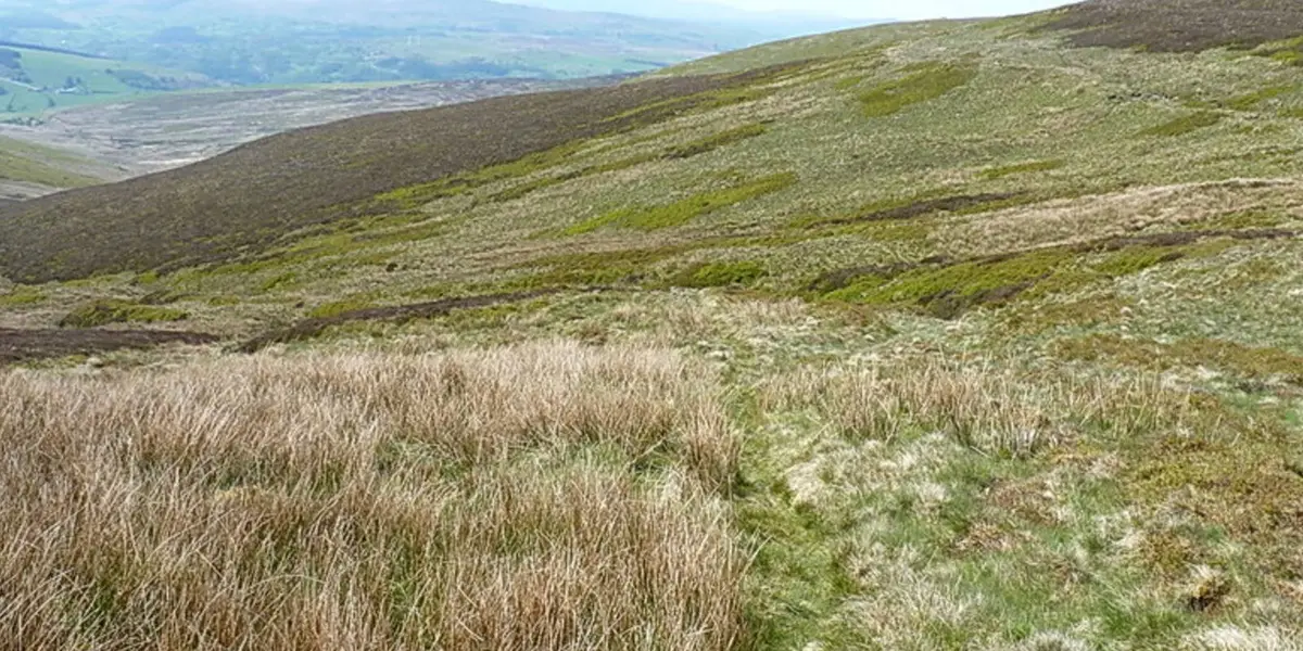 Cadair Bronwen from Llandrillo