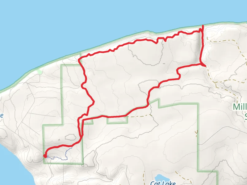 Bluff, Beach and 1st Loop Trail