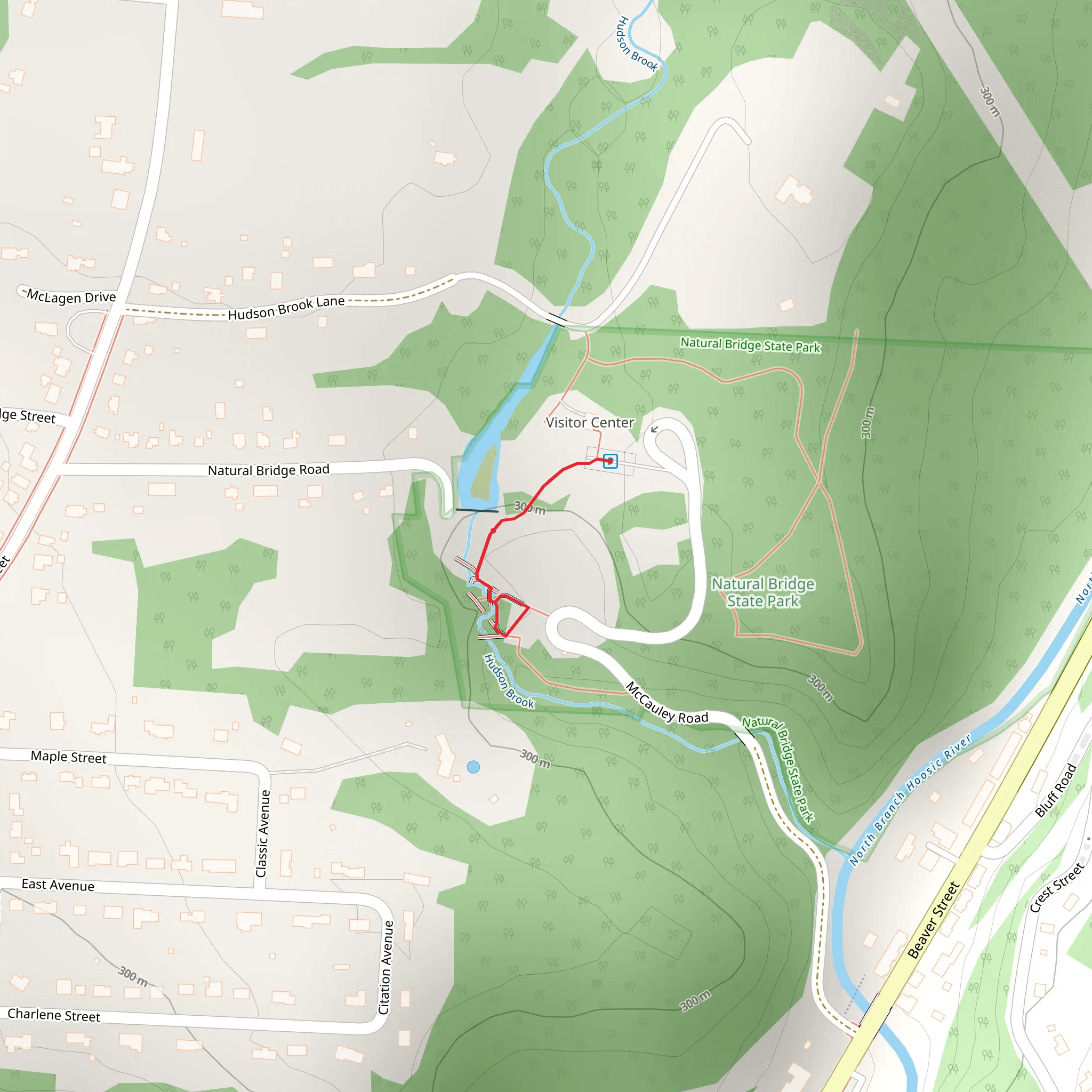 Hudson Brook Trail from McCauley Road mobile static map