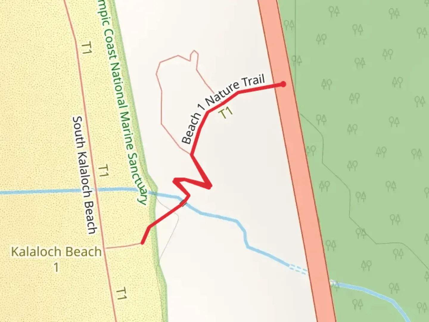 An image depicting the trail Beach 1 Nature Trail and its surrounding area.