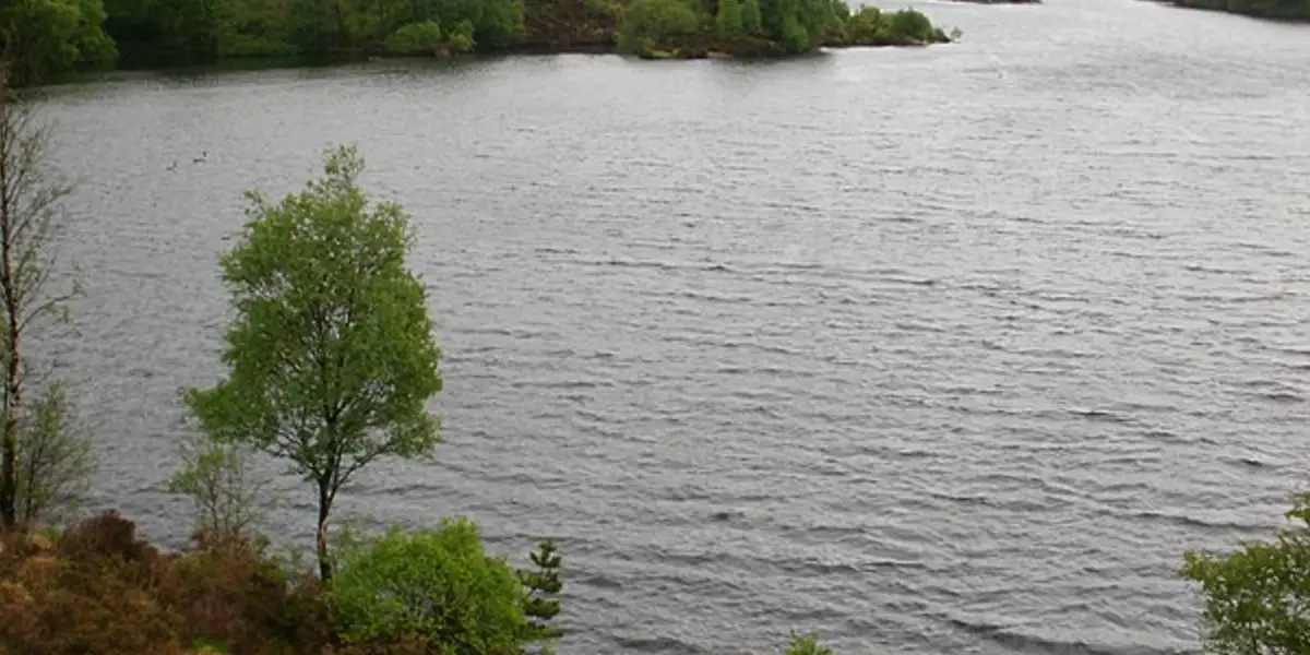 Two Lakes of the Gwydir Forest - Llyn Elsi and Llyn Parc