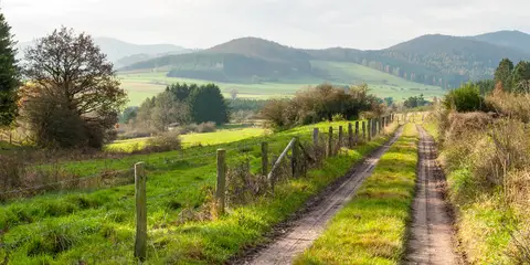 An image depicting the trail Medebacher Bergweg and its surrounding area.
