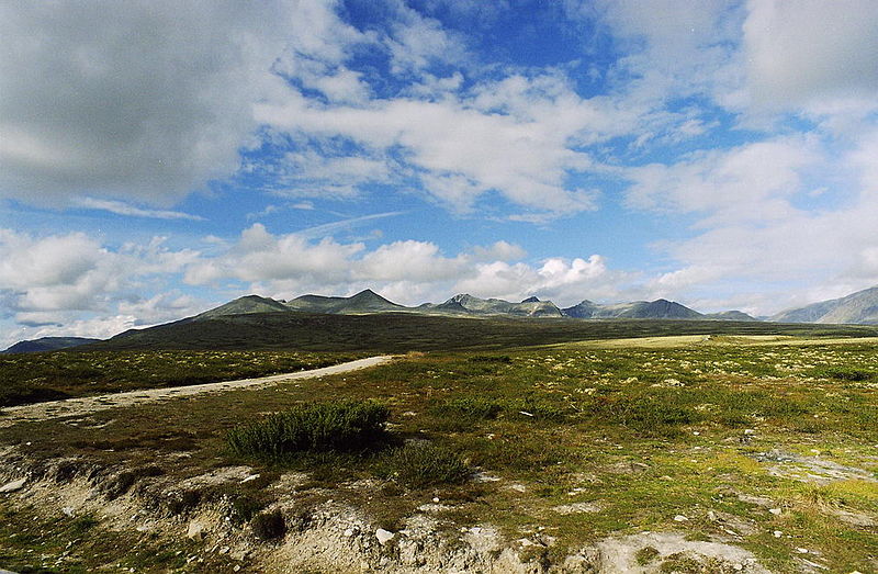 An image depicting the trail Rondane National Park and its surrounding area.