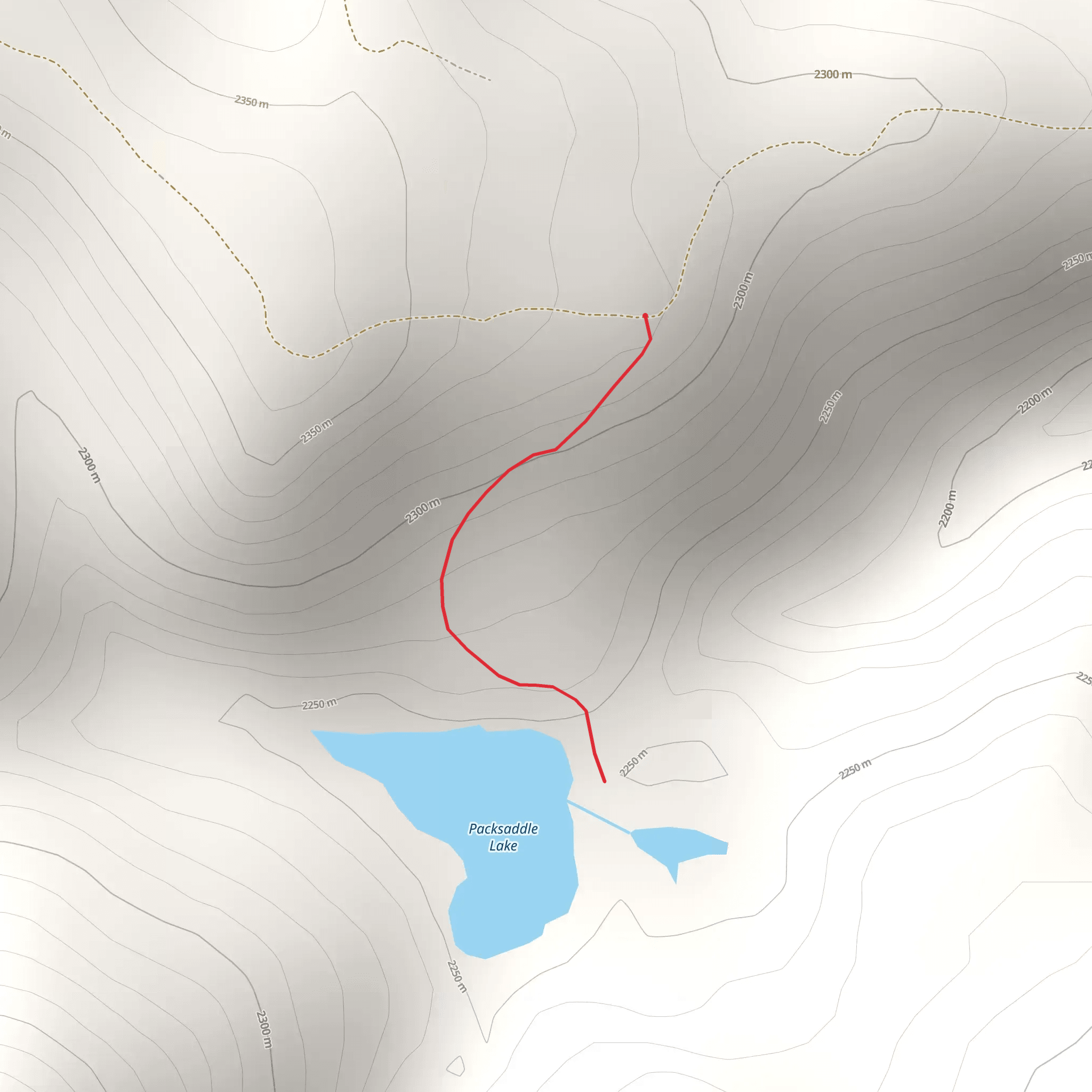 Packsaddle Lake Out and Back mobile static map