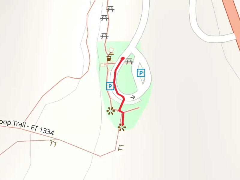 Oregon Dunes Overlook