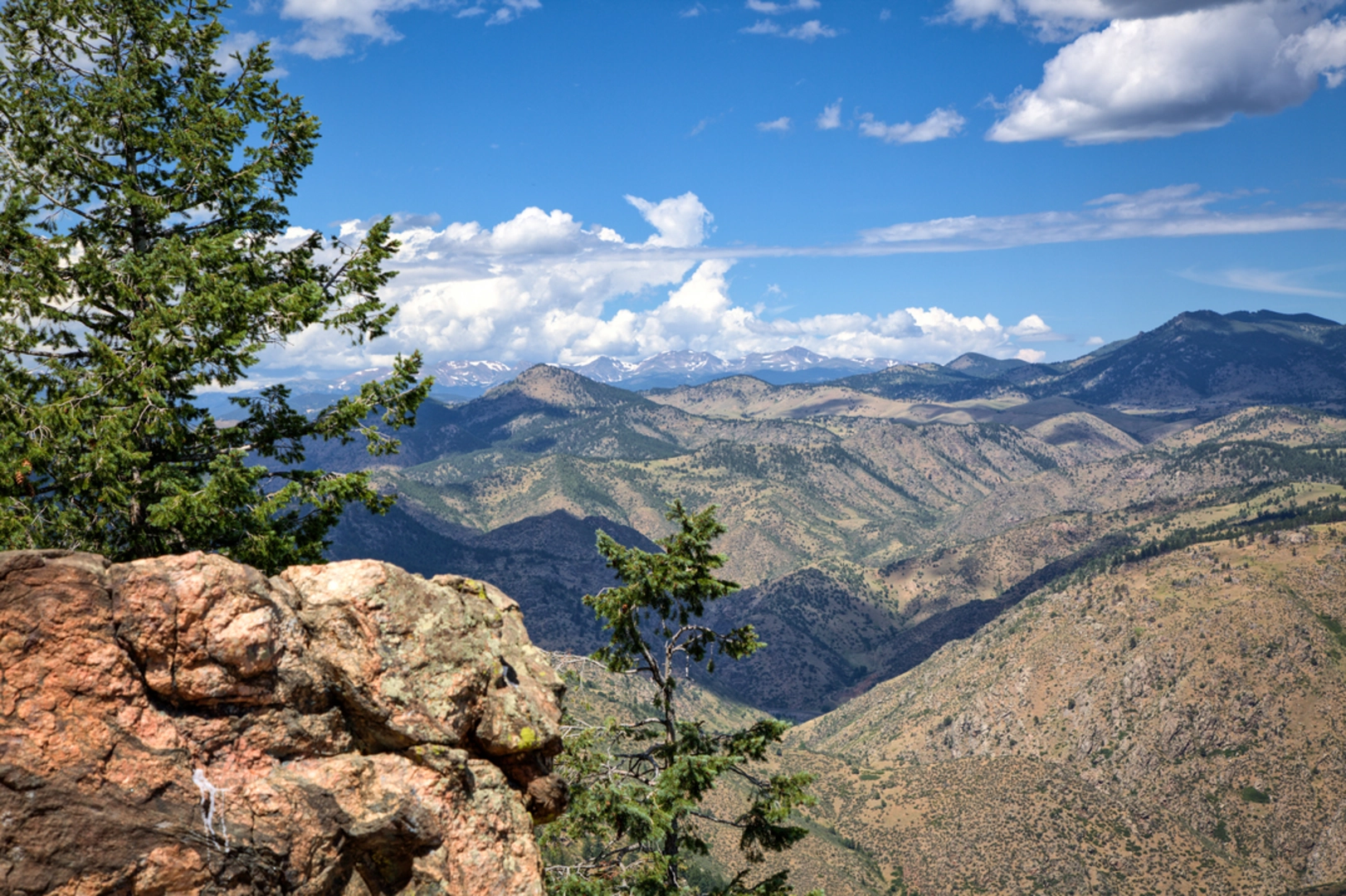 An image depicting the trail Saguache Creek Trail and its surrounding area.