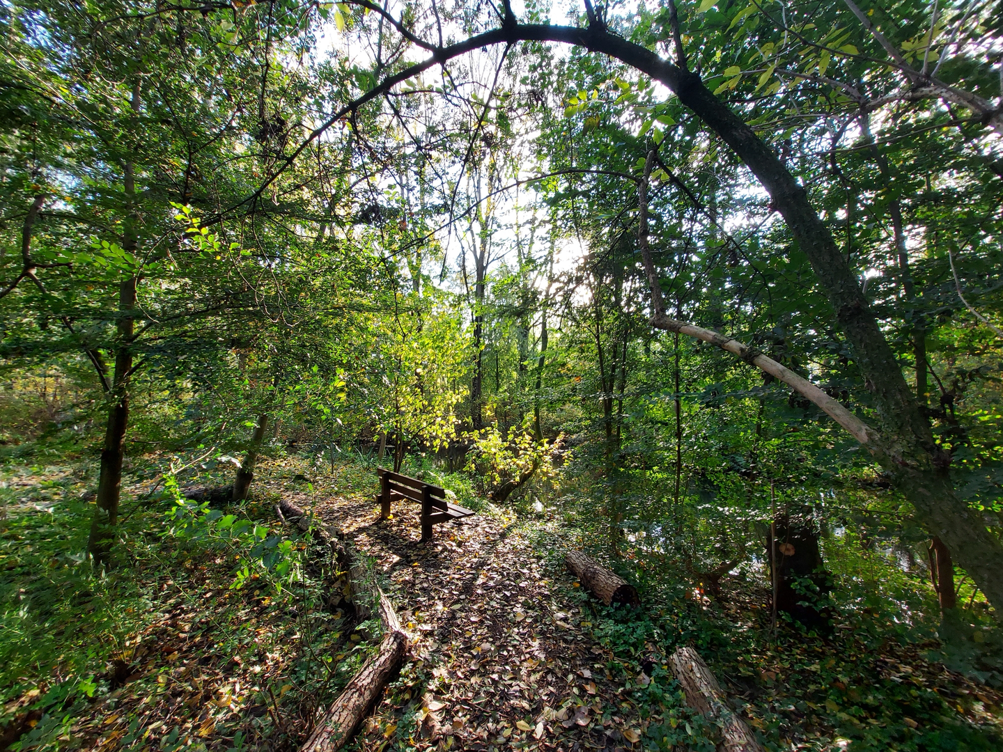 An image depicting the trail Heemtuin, De Schaapskooi and Olaertsduyn Loop and its surrounding area.