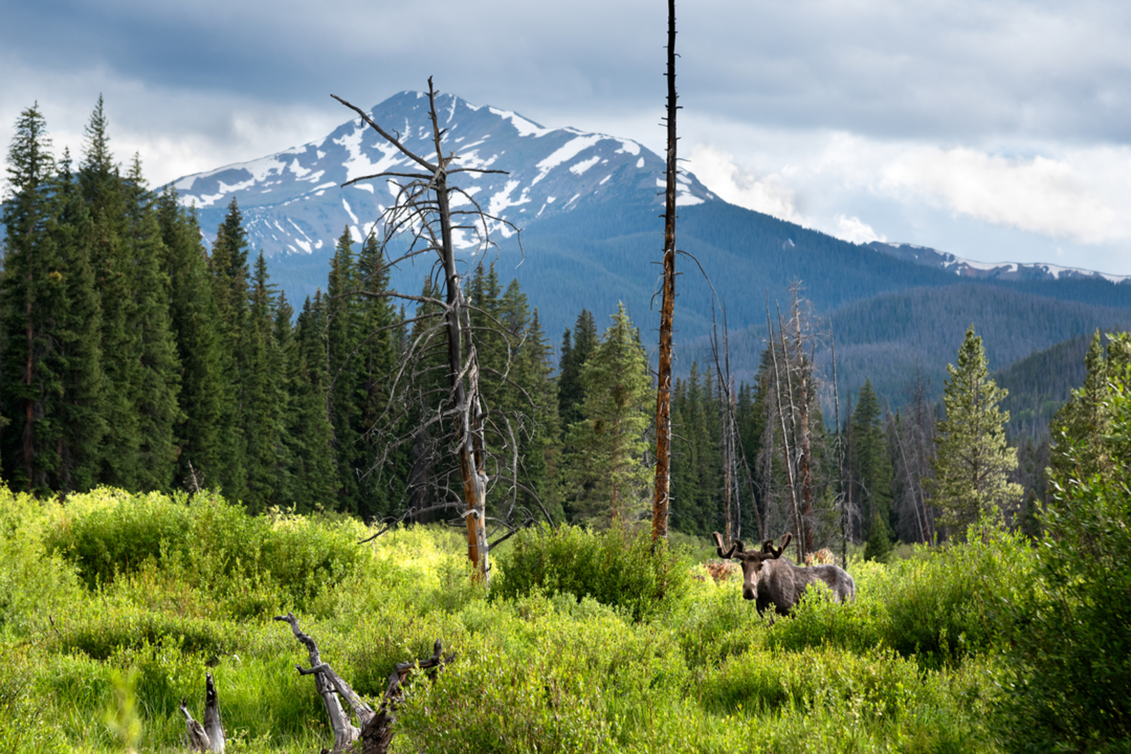 An image depicting the trail Keyser Ridge Loop Trail and its surrounding area.
