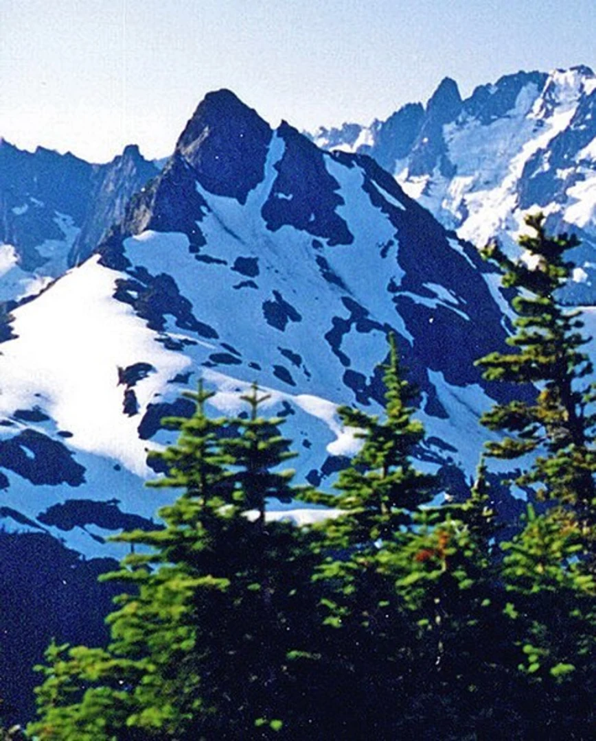 An image depicting the trail Fossil Trail and its surrounding area.