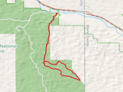 Poison Ivy Loop Trail