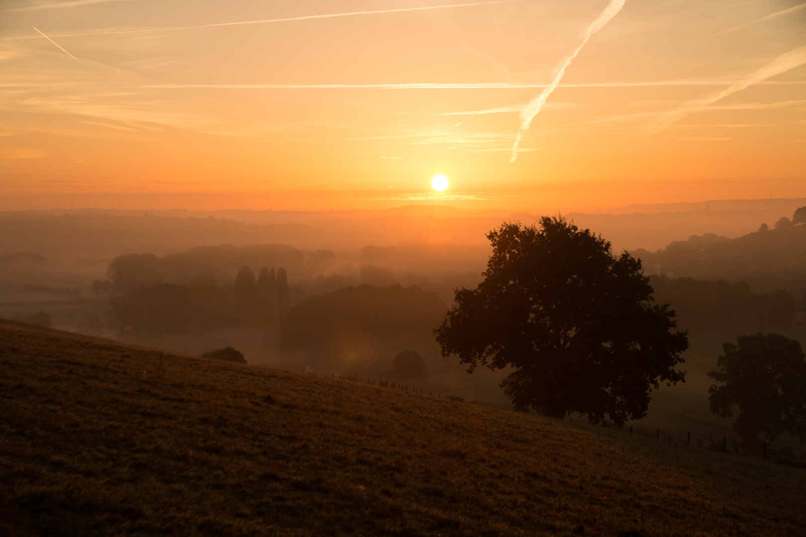 An image depicting the trail Kasteel Karsveld and Dolsberg Loop and its surrounding area.