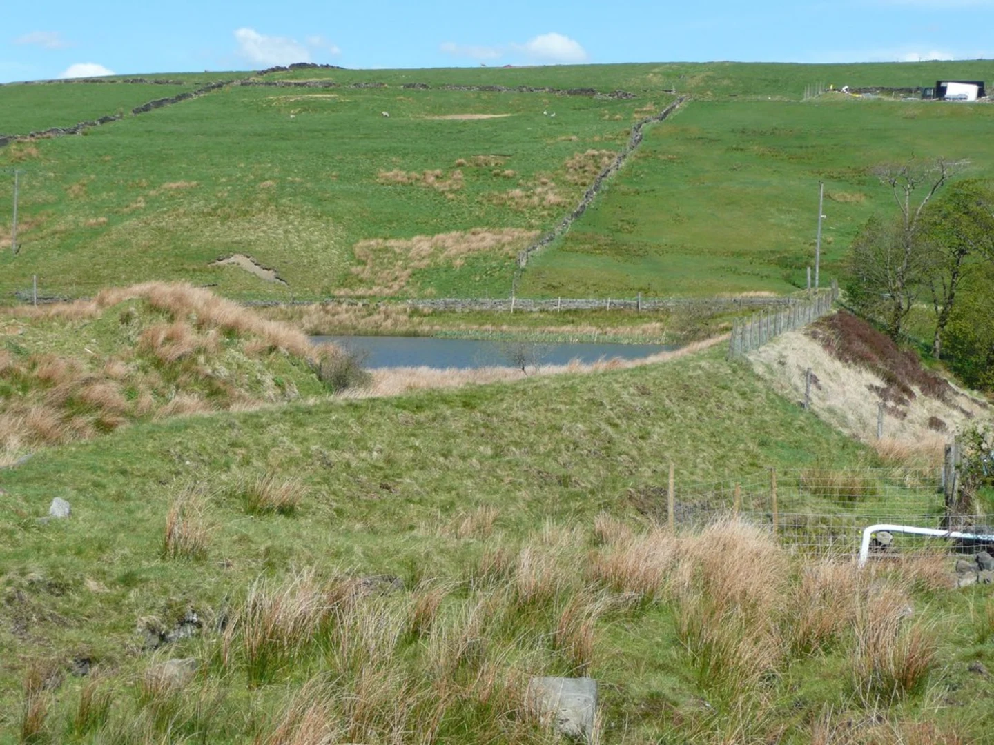 An image depicting the trail Moor Bottom and its surrounding area.