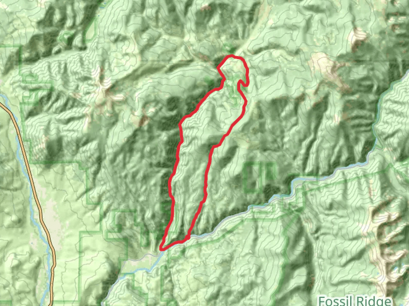 Doctor Park Trail and Spring Creek Road Loop