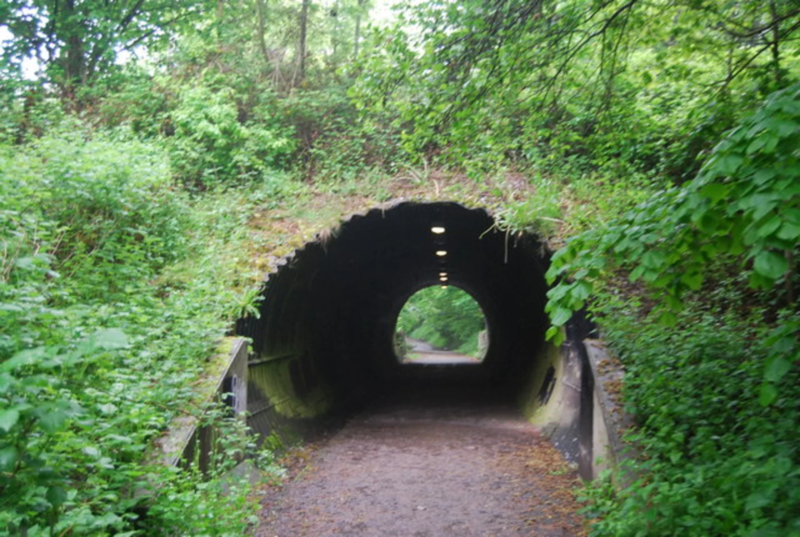 An image depicting the trail Worth Way from Three Bridges near Crawley and its surrounding area.